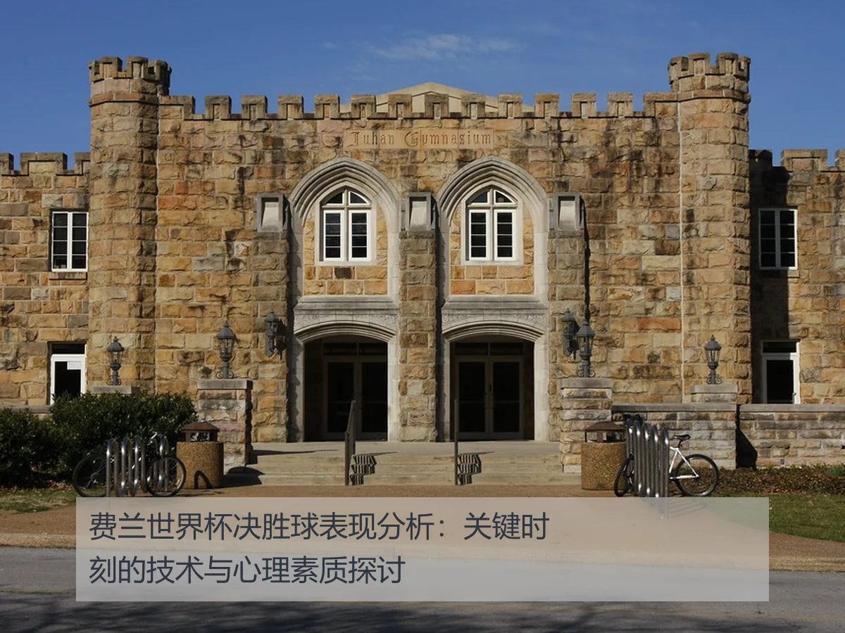 费兰世界杯决胜球表现分析:关键时刻的技术与心理素质探讨